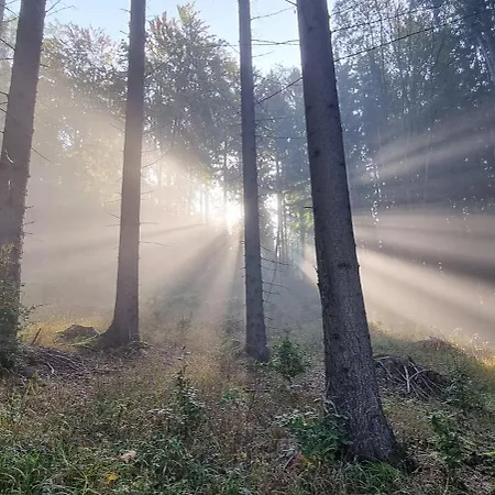 بيت ضيافة 183 3*