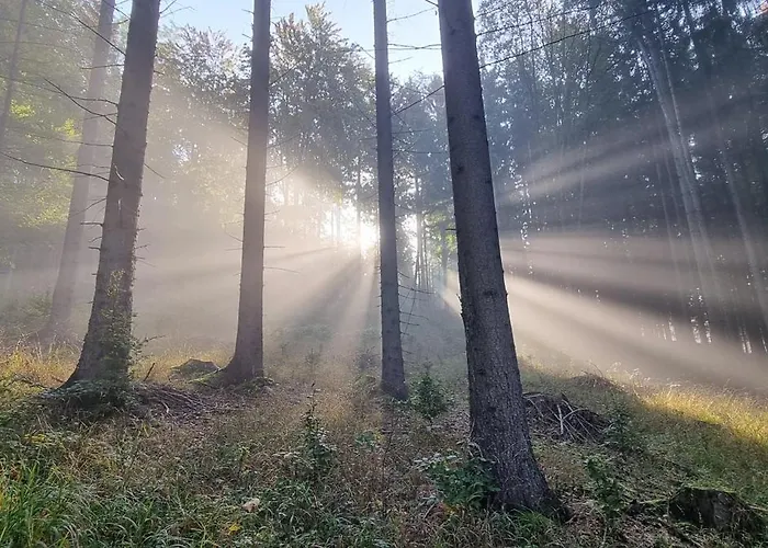 Gæstehus 183 3*